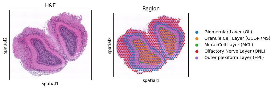 ../_images/8b5fc94d5b05afbce6f85b57b348f6eec8eaa345ad2d69e8258295f0a6457dca.png